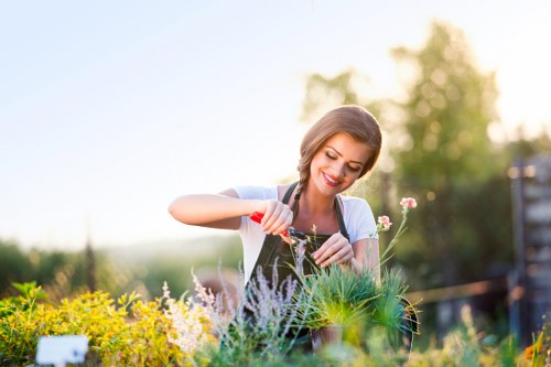 A woman with light brown hair tied back in a ponytail is tending to a vibrant garden amidst warm sunlight, using a small hand tool to care for a variety of plants. In the foreground, there is a mix of flowering plants with green foliage, including some with purple and yellow blossoms, arranged in neatly defined flower beds bordered by a tactile edging. The garden features a well-maintained lawn with dense, evenly cut grass, and is bordered by a row of shrubs and small trees in the background that frame the outdoor space. The scene suggests a peaceful, well-kept garden within a residential area, possibly in Forest Hill, with natural lighting indicating a clear, sunny day. The garden appears to be used for outdoor enjoyment and gentle horticultural maintenance, aligning with services offered by Gardening Services Forest Hill to create lush, attractive outdoor environments.