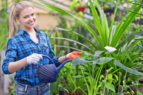 A young woman with light brown hair tied back, smiling, and wearing a blue plaid shirt and gardening gloves, is standing outdoors in a lush garden. She holds a blue watering can and is watering a variety of green plants, including tall leafy stalks and lower ground cover. The garden features a mix of textures and natural tones, with dense foliage, thriving plants, and patches of soil visible amid the greenery. In the background, there are blurred flowering plants and garden structures suggesting a well-maintained outdoor space, indicative of professional gardening services in Forest Hill. The scene appears to be set on a bright, slightly overcast day, highlighting the vibrant natural colours and healthy plant growth typical of a professionally cared-for garden.
